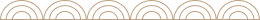 Why-Sea-Beans-HR-Icon